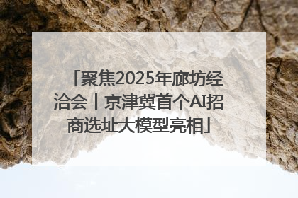 聚焦2025年廊坊经洽会丨京津冀首个AI招商选址大模型亮相