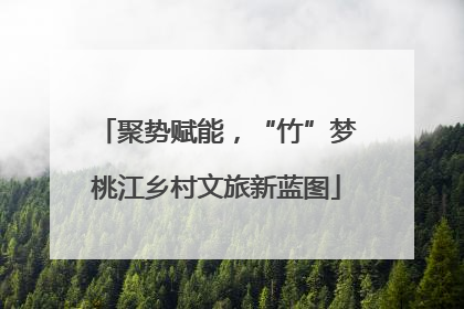 聚势赋能，“竹”梦桃江乡村文旅新蓝图