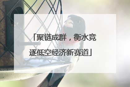 聚链成群，衡水竞逐低空经济新赛道