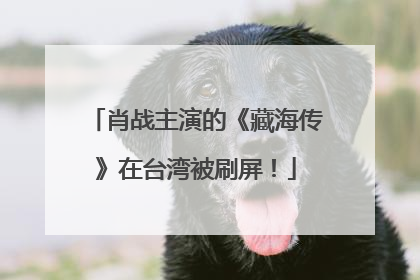 肖战主演的《藏海传》在台湾被刷屏！