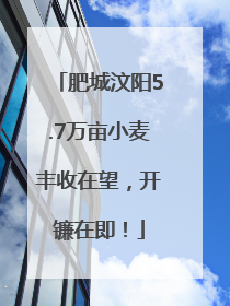 肥城汶阳5.7万亩小麦丰收在望，开镰在即！