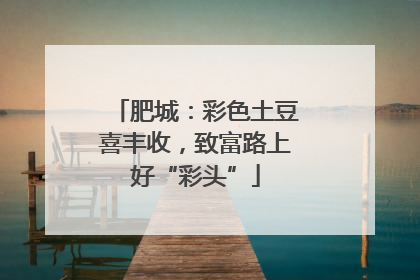 肥城：彩色土豆喜丰收，致富路上好“彩头”