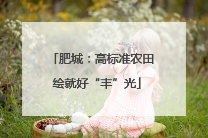 肥城：高标准农田绘就好“丰”光