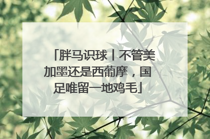 胖马识球丨不管美加墨还是西葡摩，国足唯留一地鸡毛