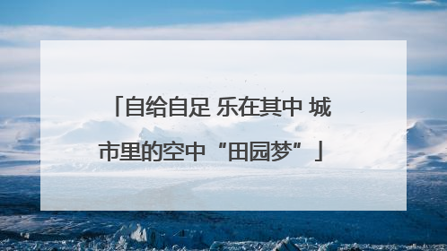 自给自足 乐在其中 城市里的空中“田园梦”
