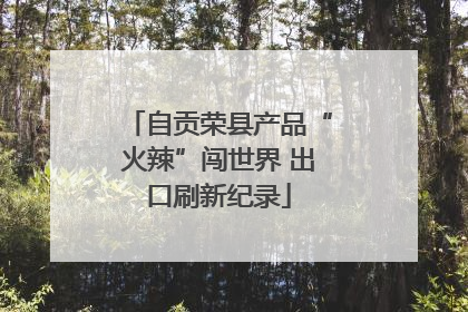 自贡荣县产品“火辣”闯世界 出口刷新纪录