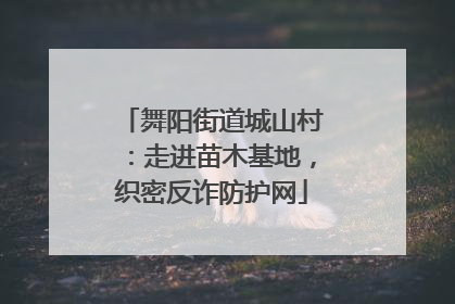 舞阳街道城山村：走进苗木基地，织密反诈防护网