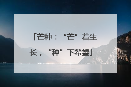 芒种：“芒”着生长，“种”下希望