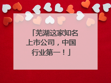 芜湖这家知名上市公司，中国行业第一！