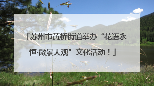 苏州市黄桥街道举办“花语永恒·微景大观”文化活动！