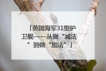 英国海军31型护卫舰——从做“减法”到做“加法”
