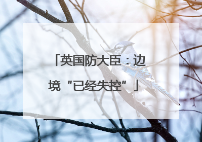 英国防大臣：边境“已经失控”