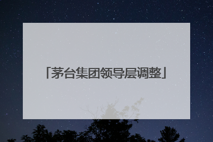 茅台集团领导层调整