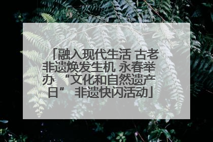 融入现代生活 古老非遗焕发生机 永春举办 “文化和自然遗产日” 非遗快闪活动