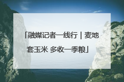 融媒记者一线行｜麦地套玉米 多收一季粮