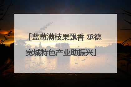 蓝莓满枝果飘香 承德宽城特色产业助振兴