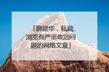 薛建华，私藏、浏览有严重政治问题的网络文章