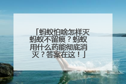 蚂蚁怕啥怎样灭蚂蚁不留痕？蚂蚁用什么药能彻底消灭？答案在这！