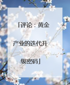 评论：黄金产业的迭代升级密码