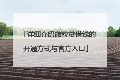 详细介绍微粒贷借钱的开通方式与官方入口