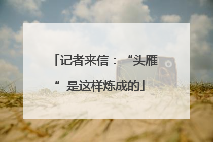 记者来信：“头雁”是这样炼成的