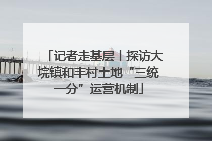 记者走基层丨探访大垸镇和丰村土地“三统一分”运营机制