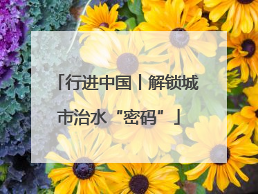 行进中国丨解锁城市治水“密码”
