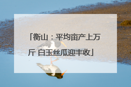 衡山：平均亩产上万斤 白玉丝瓜迎丰收