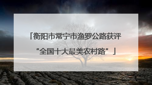 衡阳市常宁市渔罗公路获评“全国十大最美农村路”