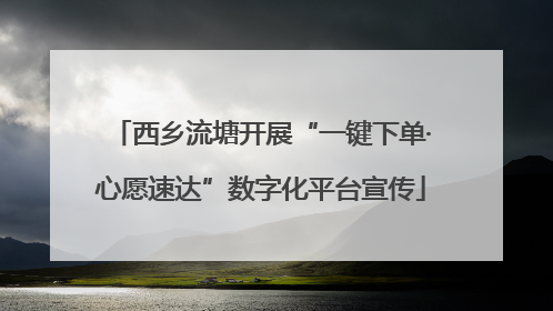 西乡流塘开展“一键下单·心愿速达”数字化平台宣传