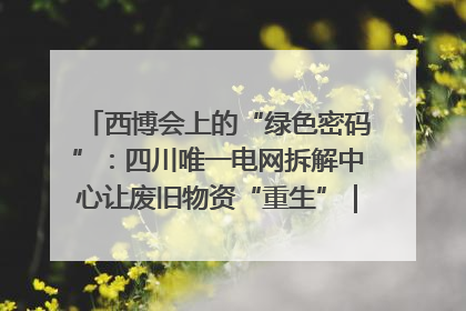 西博会上的“绿色密码”：四川唯一电网拆解中心让废旧物资“重生”｜西博寻“新”记
