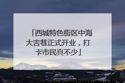 西城特色街区中海大吉巷正式开业，打卡市民真不少