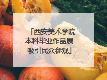 西安美术学院本科毕业作品展吸引民众参观