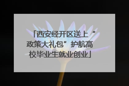 西安经开区送上“政策大礼包”护航高校毕业生就业创业