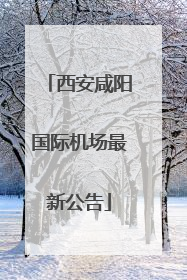 西安咸阳国际机场最新公告