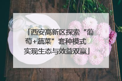 西安高新区探索“葡萄+蔬菜”套种模式 实现生态与效益双赢