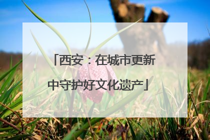 西安：在城市更新中守护好文化遗产
