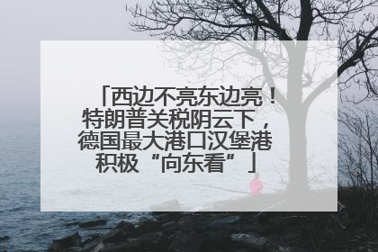 西边不亮东边亮！特朗普关税阴云下，德国最大港口汉堡港积极“向东看”