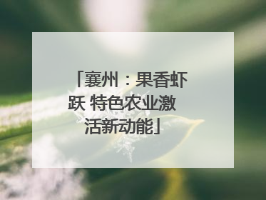 襄州：果香虾跃 特色农业激活新动能