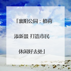 襄阳公园：植荷添新景 打造市民休闲好去处