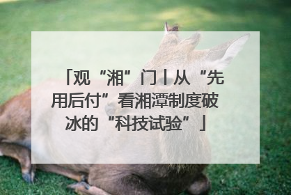 观“湘”门丨从“先用后付”看湘潭制度破冰的“科技试验”