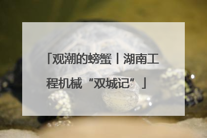 观潮的螃蟹丨湖南工程机械“双城记”