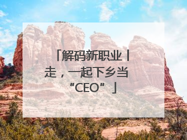 解码新职业丨走，一起下乡当“CEO”