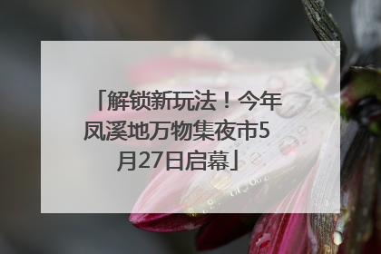 解锁新玩法！今年凤溪地万物集夜市5月27日启幕