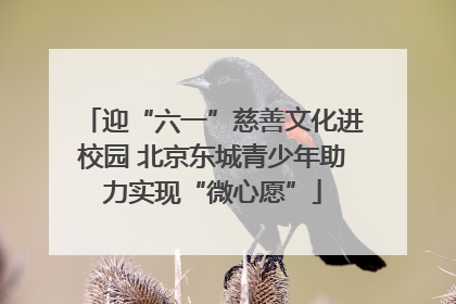 迎“六一”慈善文化进校园 北京东城青少年助力实现“微心愿”