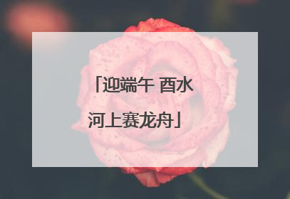 迎端午 酉水河上赛龙舟