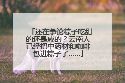 还在争论粽子吃甜的还是咸的？云南人已经把中药材和咖啡包进粽子了……