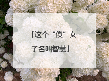 这个“傻”女子名叫智慧