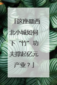 这座赣西北小城如何下“竹”功夫撑起亿元产业？