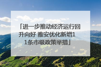 进一步推动经济运行回升向好 雅安优化新增11条市级政策举措